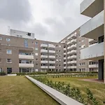 Brand New Apartment With Garage