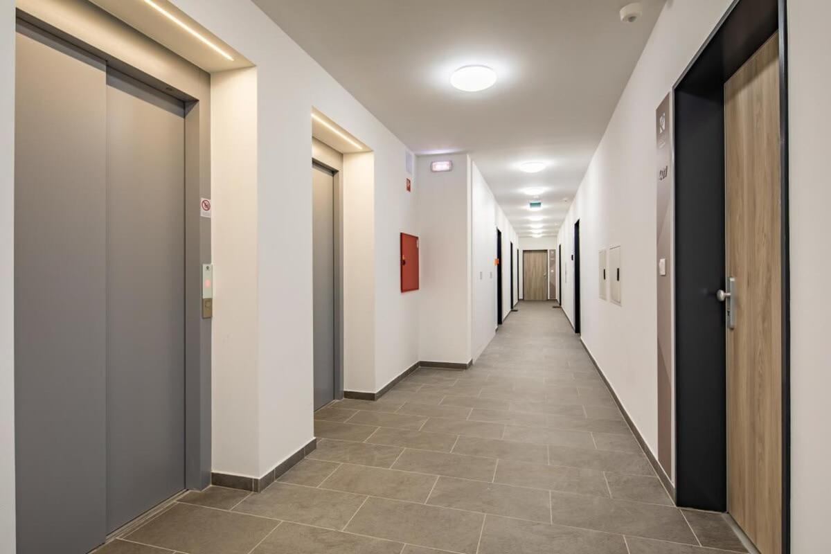 Brand New With Garage Apartment